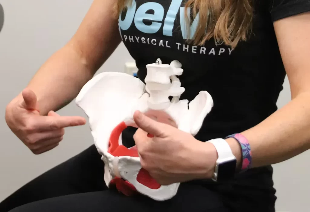 A person wearing a "pelvRX" shirt holds a pelvic bone model, emphasizing a point with their fingers. The scene conveys an educational tone.